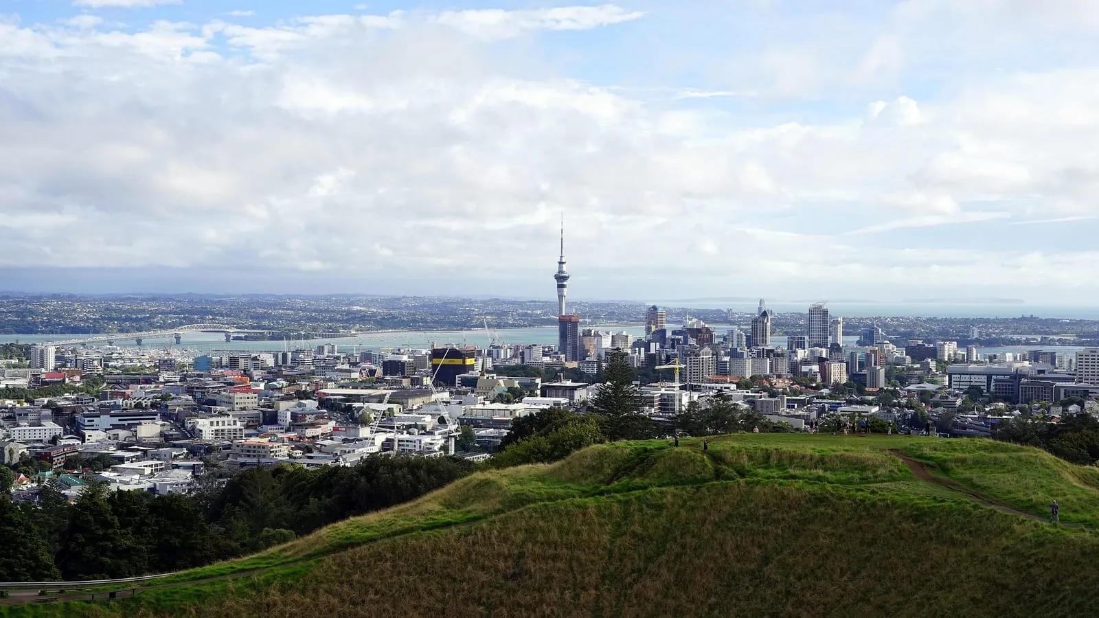 Auckland skyline and Sky Tower seen from Maungawhau / Mt Eden